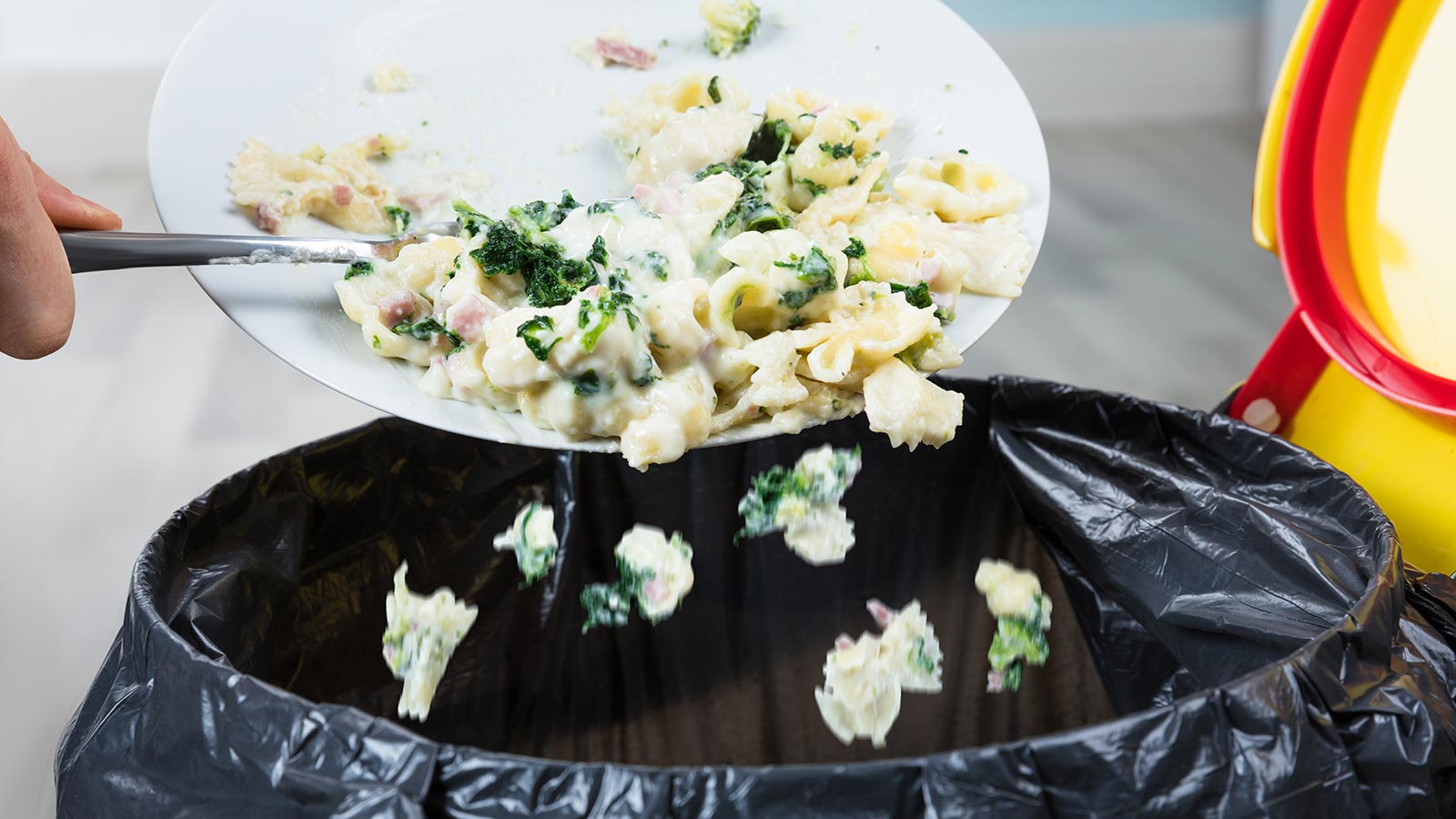 España tira un tercio de la comida